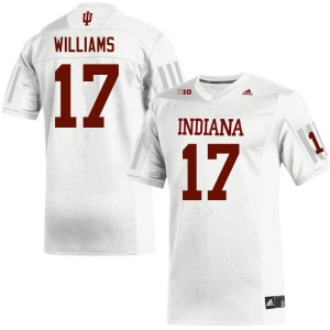 Men's Indiana Hoosiers Jordyn Williams #17 White Official Jerseys 152454-119