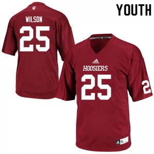 Youth Indiana Hoosiers Cam Wilson #25 College Crimson Jersey 759200-243