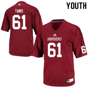 Youth Indiana Hoosiers Ricky Tamis #61 Player Crimson Jersey 814856-538